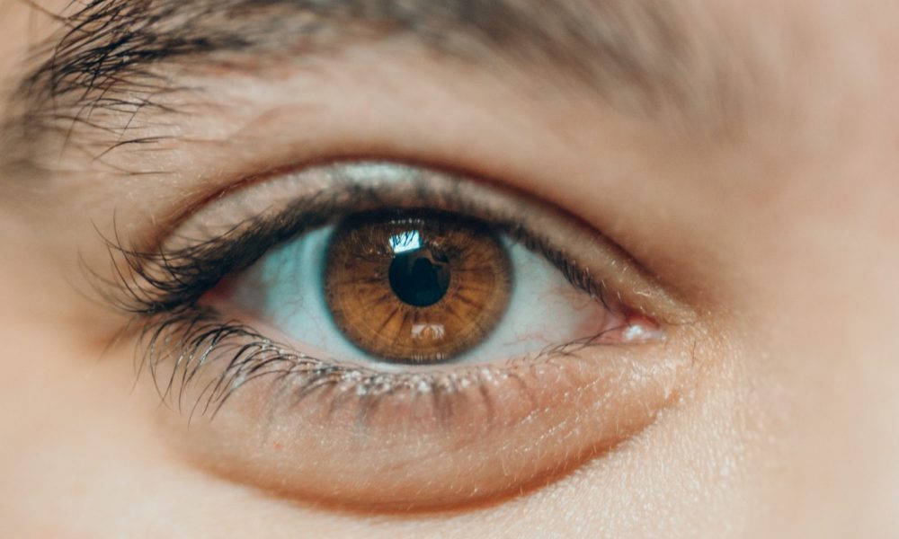 How does the blood-retinal barrier protect your eyes?